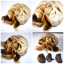 2014 new chinese Fermented black garlic producer